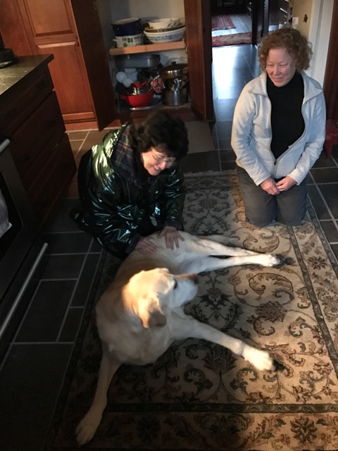 Max Enjoying a Reiki Session.